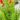 200124110_1326547487742908_9084882599785960702_n